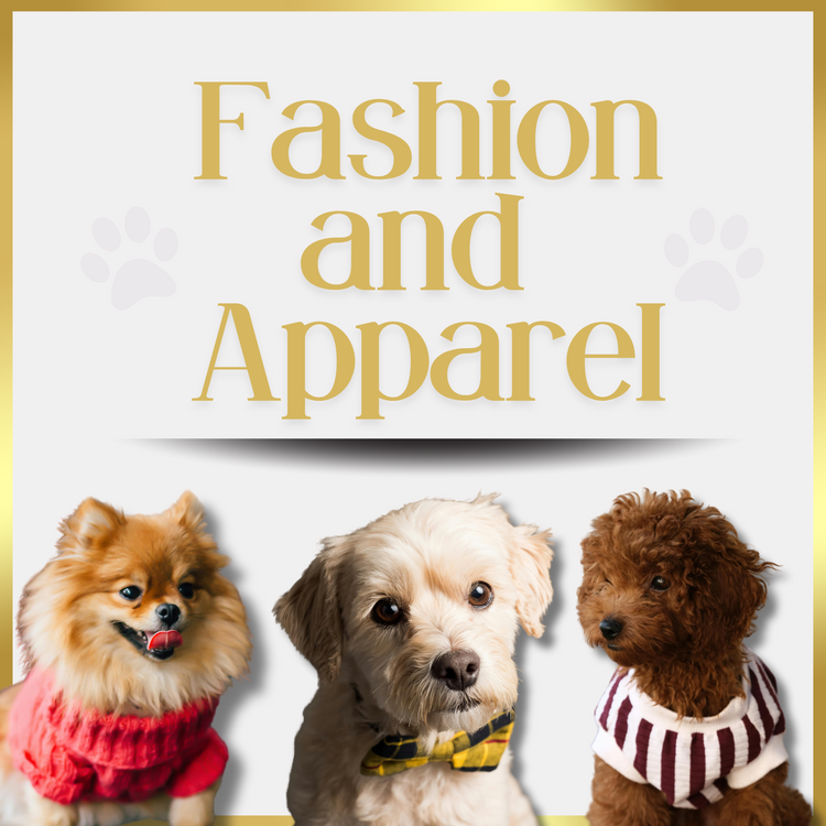 Fashion and Apparel