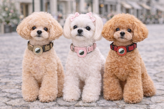 Luxury AirTag Compatible Dog Collar