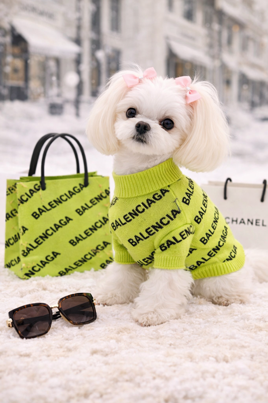 Bold Monogram Knit Dog Sweater